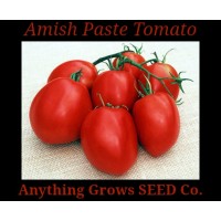 Tomato - Amish Paste - Organic